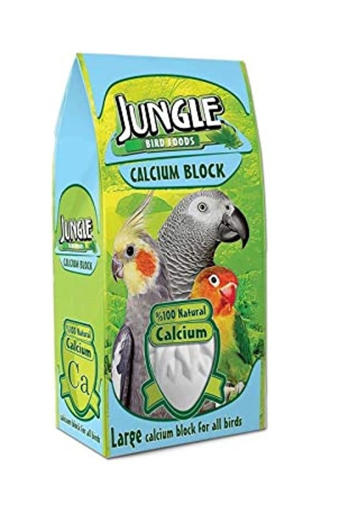 Bird jungle pet shop 2025