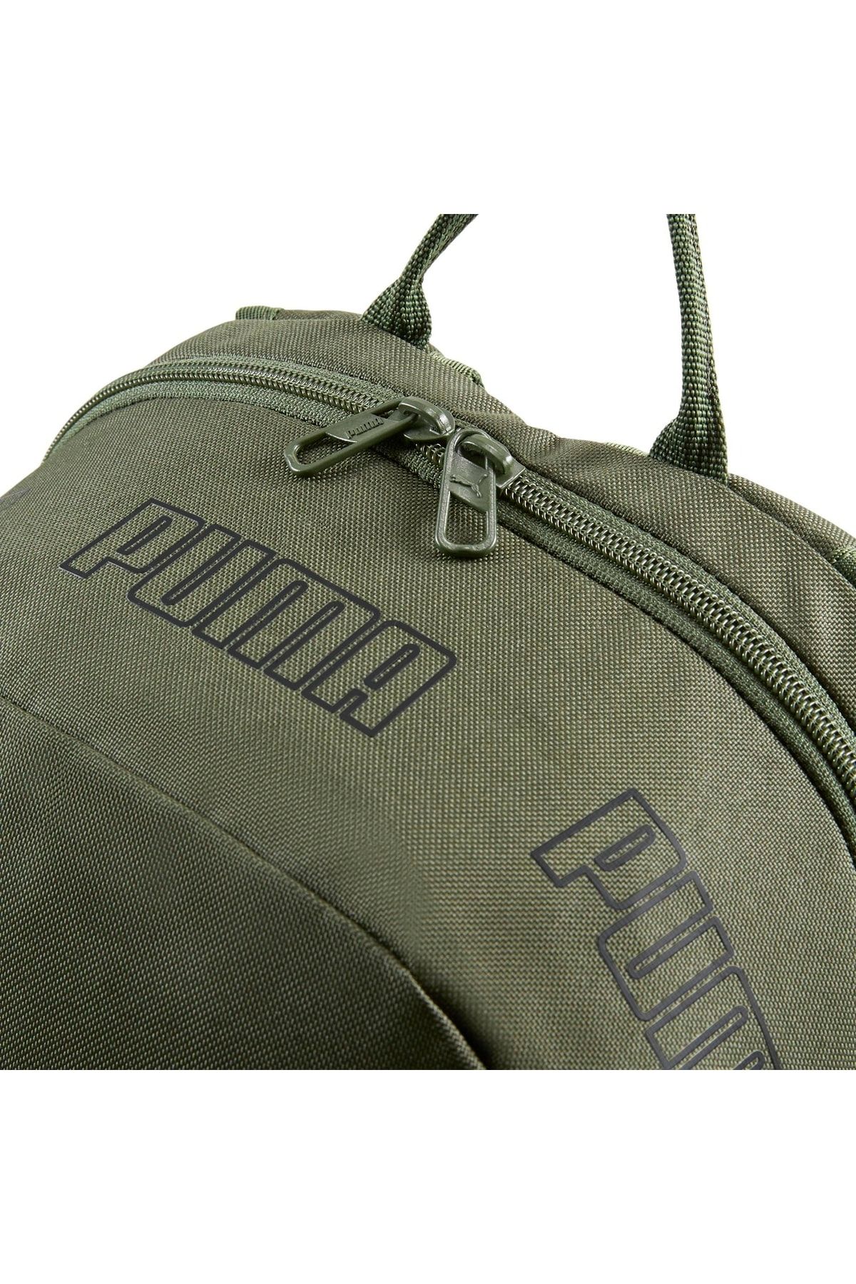 Puma 2025 phase ii