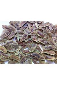 Cemilefendi Açlık Otu 1 Kg