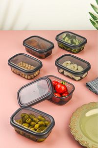 Ecolux-Vista Set of 6 - Multi-Purpose Microwave and Freezer Storage Container, Transparent-Anthracite 1