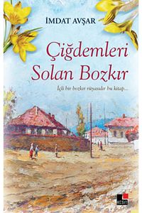 Çiğdemleri Solan Bozkır