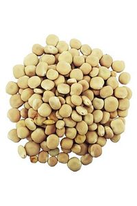 Cemilefendi Acı Bakla 1 Kg