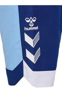 hummel-Badeshorts - Blau - Lizenzartikel 3