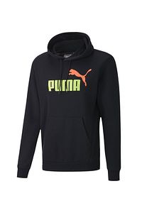 Erkek Ess 2 Col Hoody Fl Big Logo Sweat