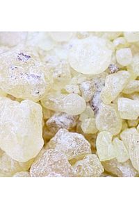 Sandaloz Sakızı 100 Gr