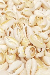 Related product image Hobigram Beads