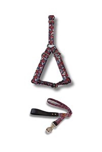 Related product image UTDpet Dog Collars