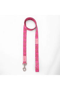 Related product image PATİMİO Dog Collars