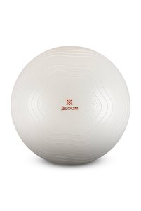 İlgili ürün resmi Bloom Pilates Topu
