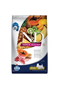 N & D Nd tropical selection köpek 5kg mini adult kuzu etli