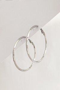Related product image New Obsessions Steel Earrings