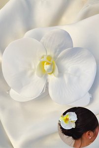 Related product image PREGIO Hair Clips