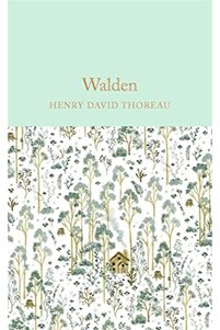 Related product image Macmillan Distribution Novel