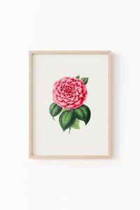 Related product image epiqart Paintings