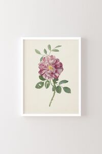 Related product image epiqart Paintings