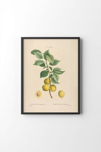 Related product image epiqart Paintings