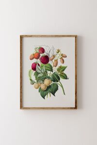 Related product image epiqart Paintings