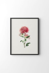 Related product image epiqart Paintings