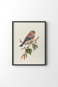 Related product image epiqart Paintings