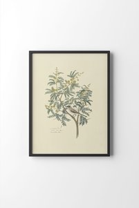 Related product image epiqart Paintings