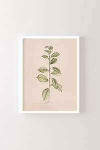 Related product image epiqart Paintings