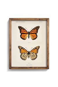 Related product image epiqart Paintings