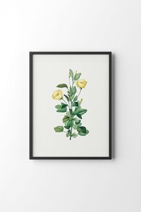 صورة المنتج ذات الصلة epiqart لوحات فنية