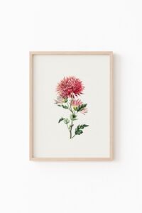 Related product image epiqart Paintings