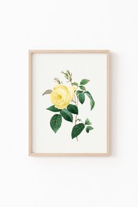 Related product image epiqart Paintings