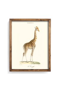 Related product image epiqart Paintings