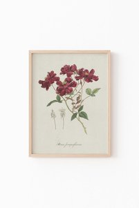 Related product image epiqart Paintings