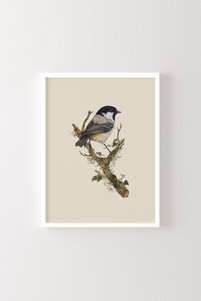 Related product image epiqart Paintings