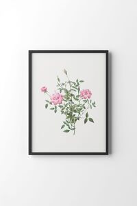 Related product image epiqart Paintings
