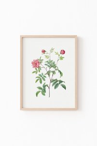 Related product image epiqart Paintings