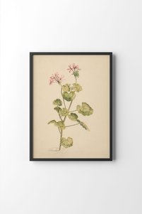 Related product image epiqart Paintings