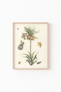 Related product image epiqart Paintings