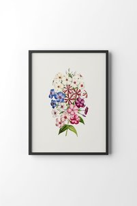 صورة المنتج ذات الصلة epiqart لوحات فنية