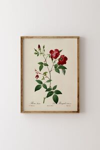Related product image epiqart Paintings