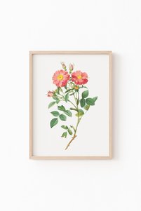 Related product image epiqart Paintings
