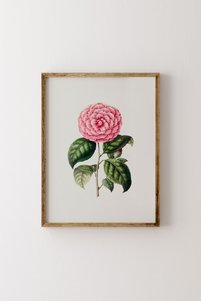 Related product image epiqart Paintings