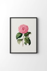 Related product image epiqart Paintings