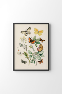 Related product image epiqart Paintings