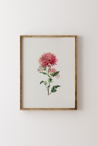 Related product image epiqart Paintings