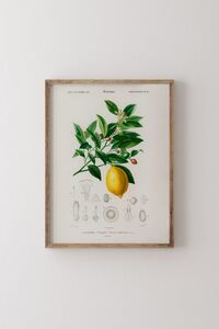 Related product image epiqart Paintings