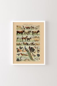 Related product image epiqart Paintings
