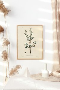 صورة المنتج ذات الصلة epiqart لوحات فنية