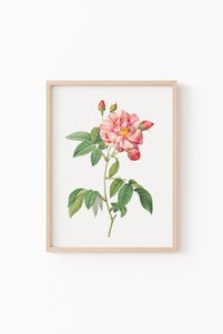 Related product image epiqart Paintings