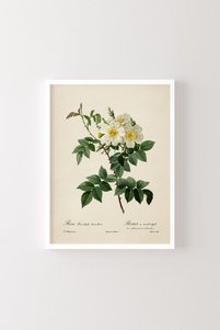 Related product image epiqart Paintings