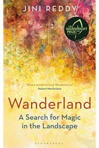 Related product image Macmillan Distribution Novel