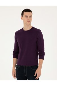 Related product image Pierre Cardin Sweaters